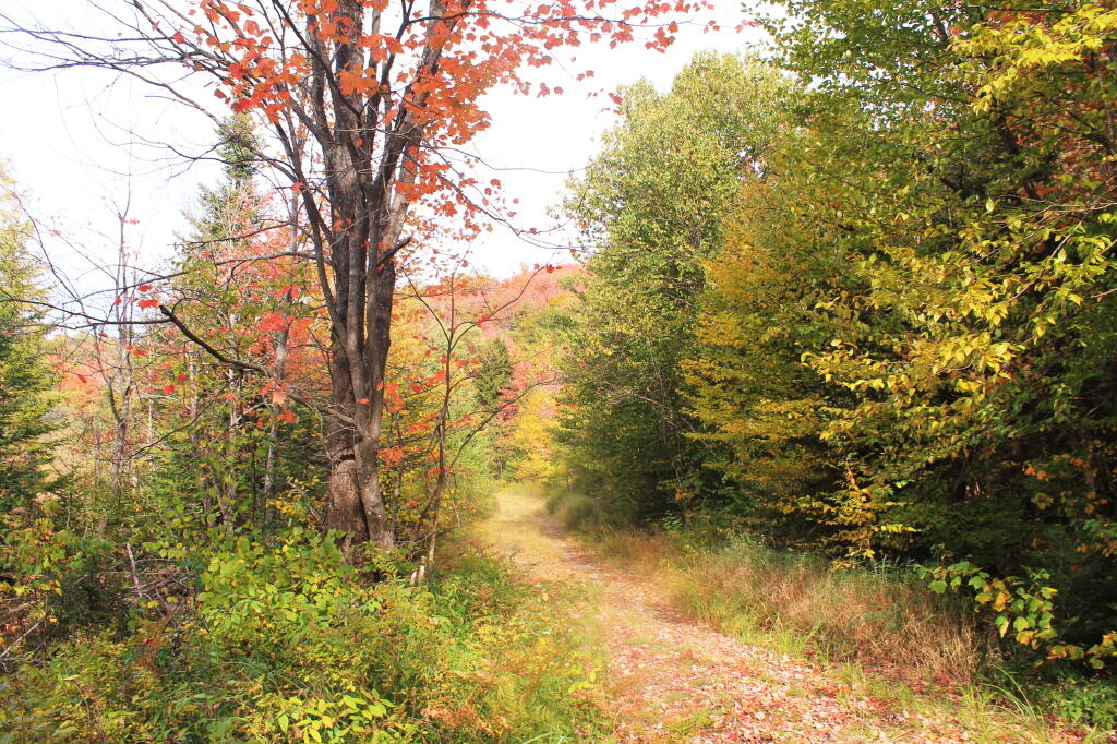 Photo: Former Indian Lake Road Near Indian Lake