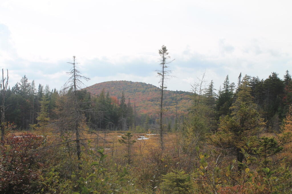 Photo: Indian Lake Mountain From Road Photo: Indian Lake Mountain From Road