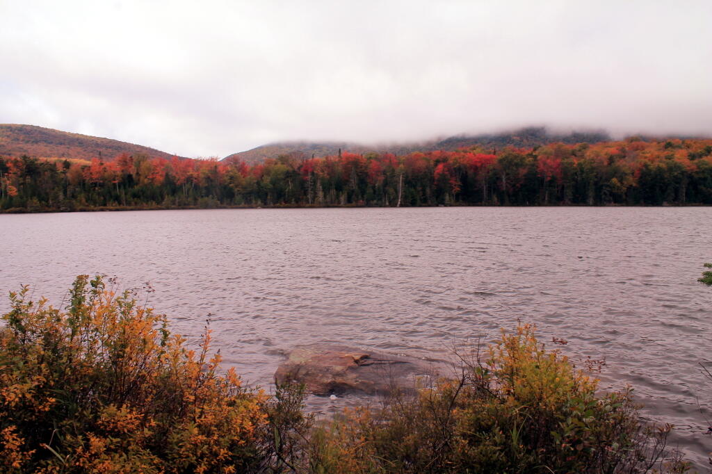 Photo: Low Fog Over Wakely Pond