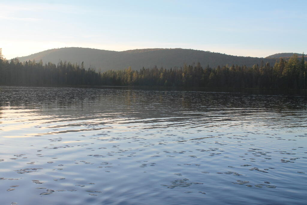 Photo: Mitchells Pond Mountain