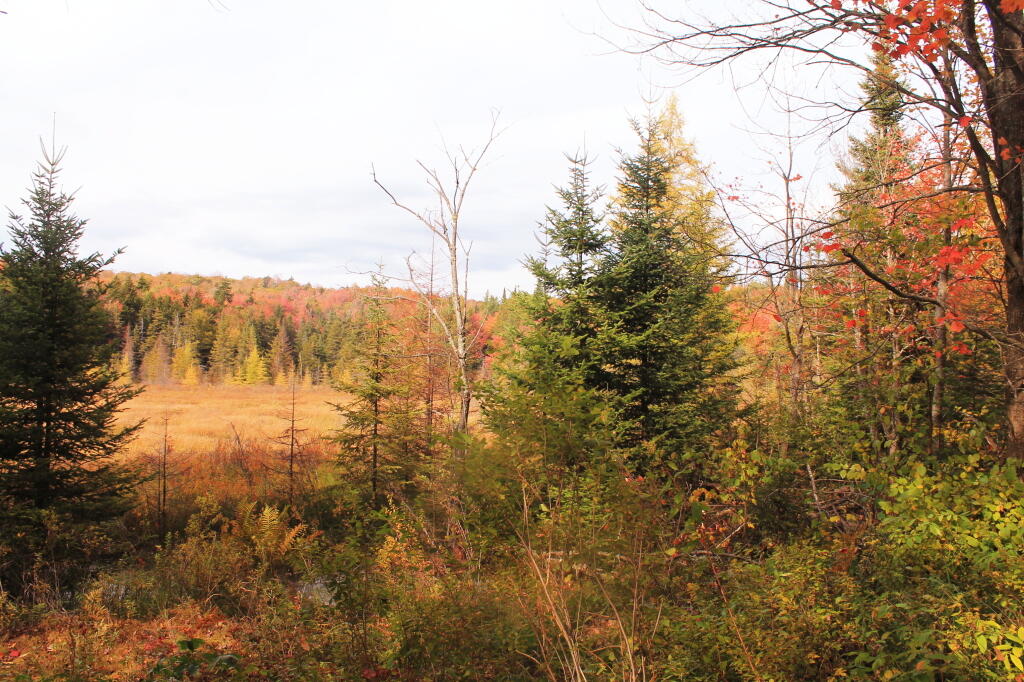 Photo: Near Indian Lake