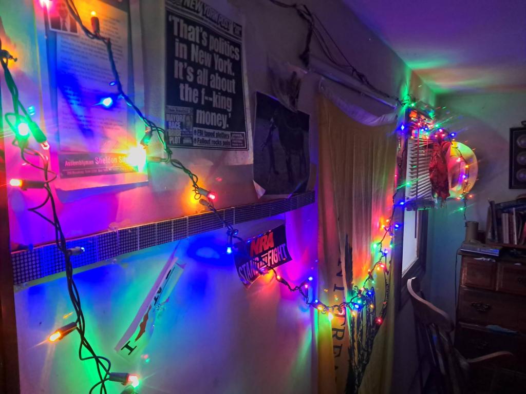 Photo: Happy I got the Christmas lights working