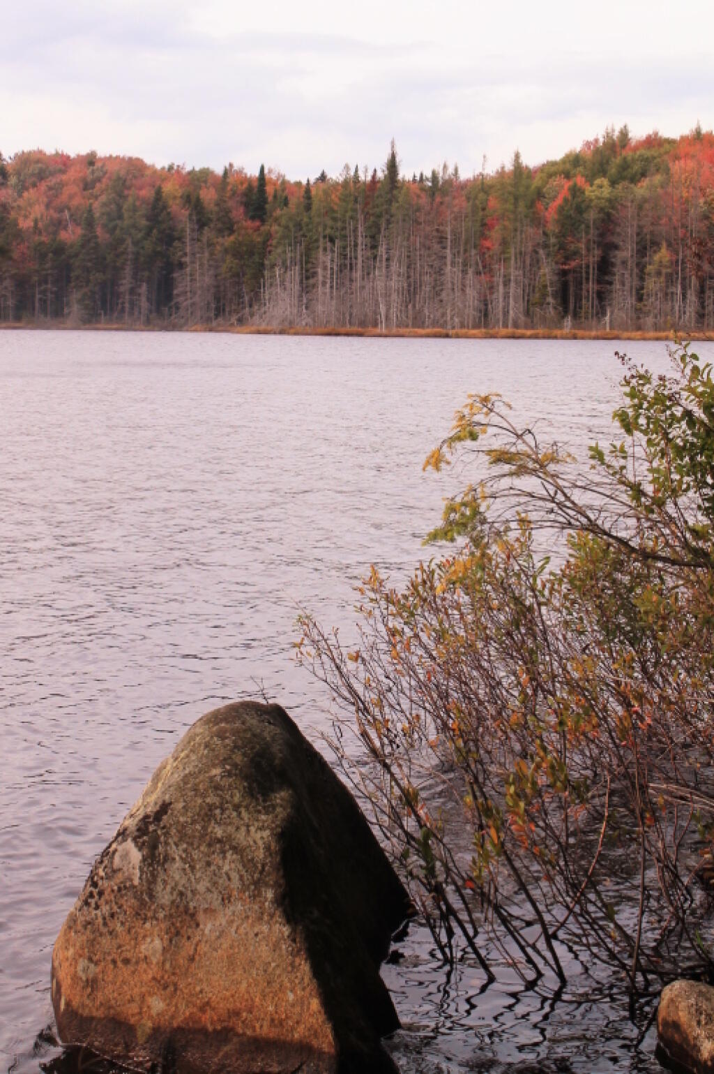 Photo: North On Indian Lake