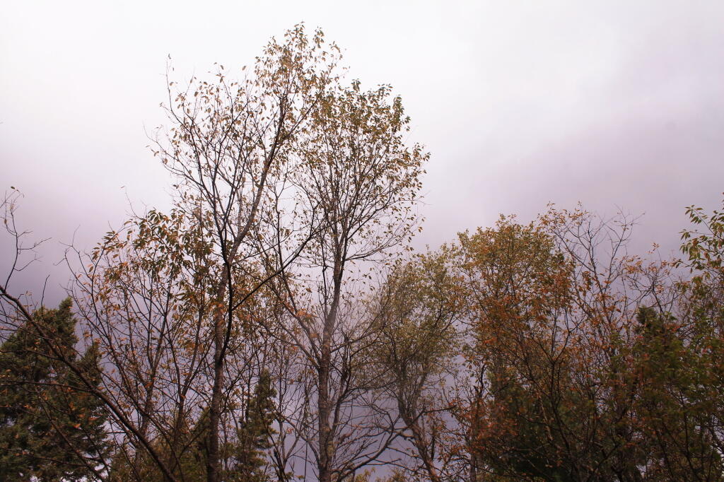 Photo: Rain Clouds