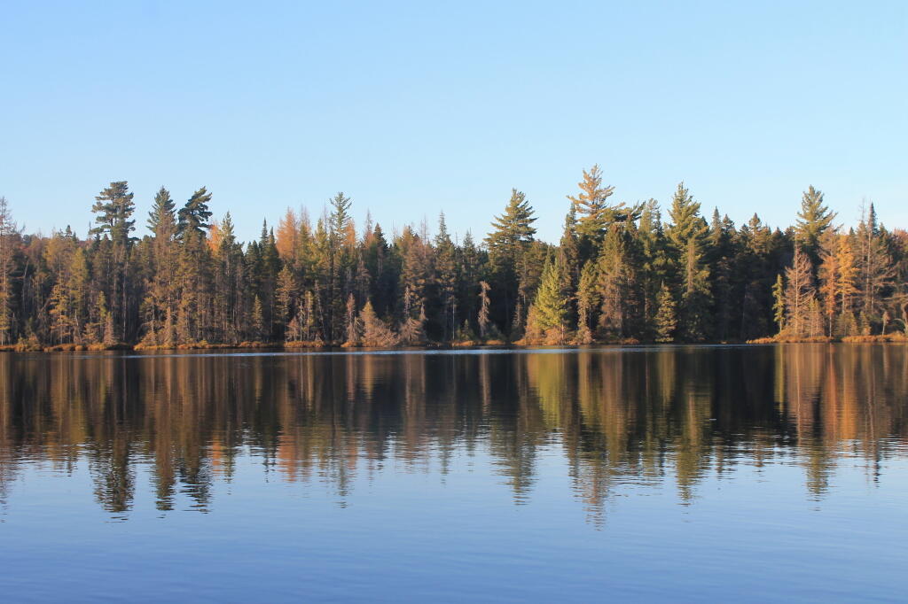 Photo: Reflections
