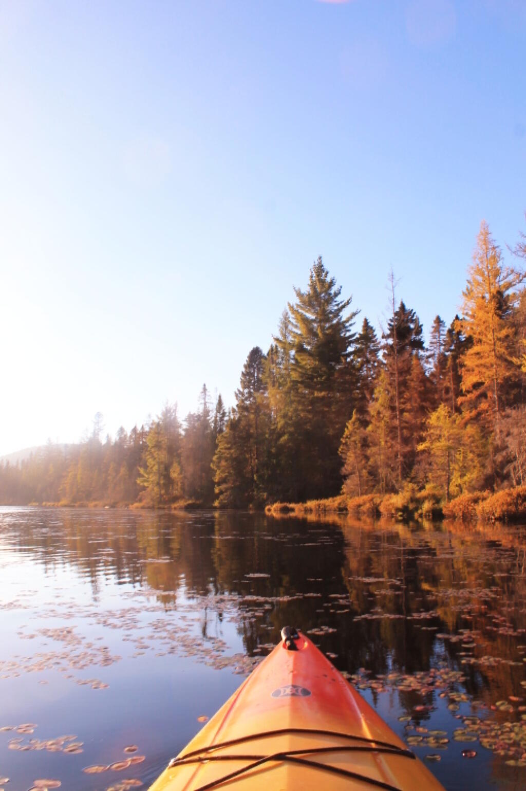 Photo: Scenic Paddle
