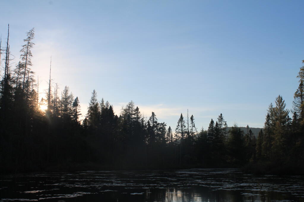 Photo: Starting To Get Dark