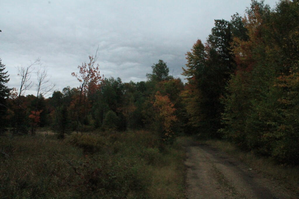 Photo: Starting To Rain Photo: Starting To Rain