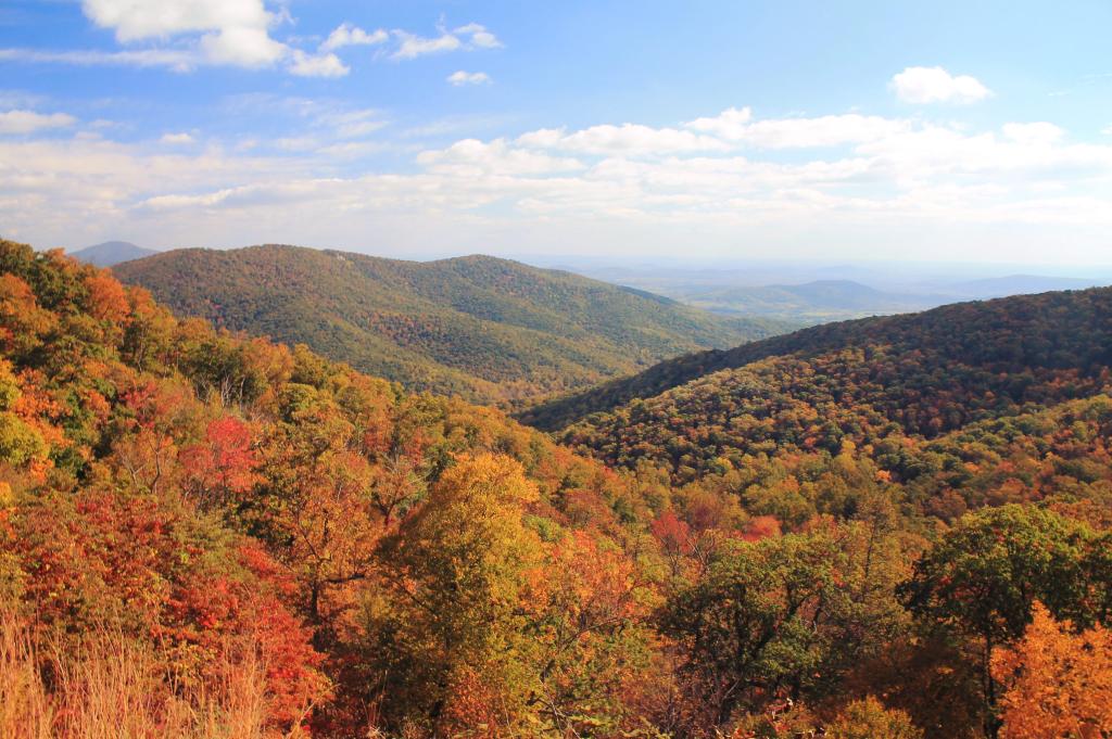 Photo: From Horsehead Overlook