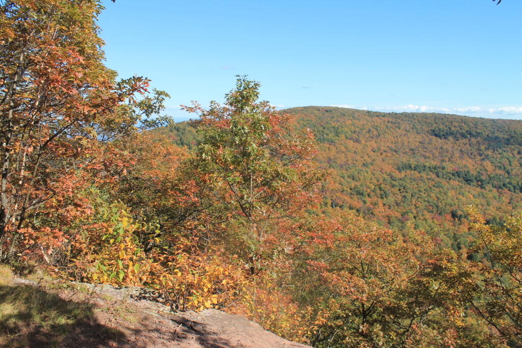 Photo: Acra Point