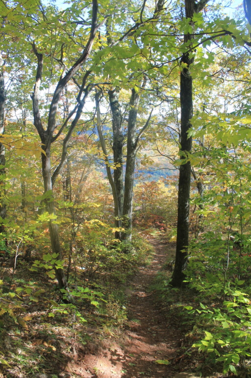 Photo: Descending Burnt Knob