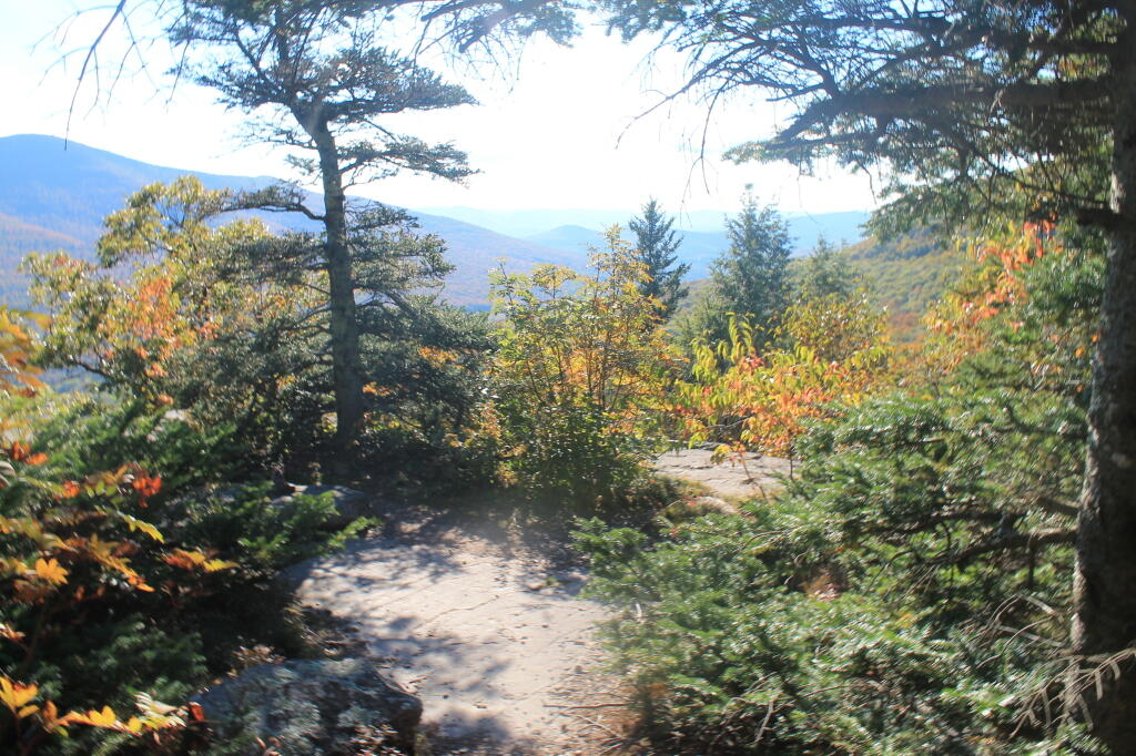 Photo: Big Hollow View Photo: Big Hollow View