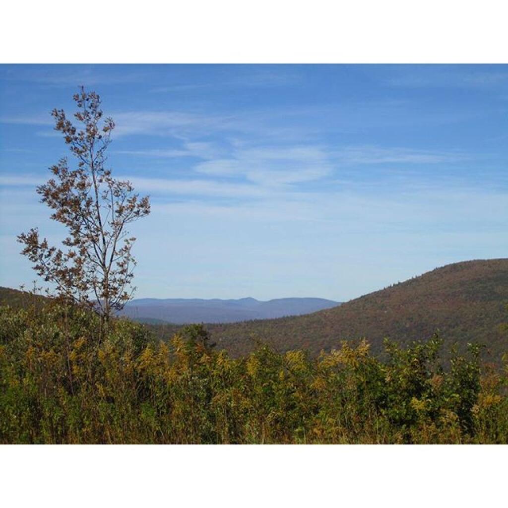 Photo: North from Stoney Ledge