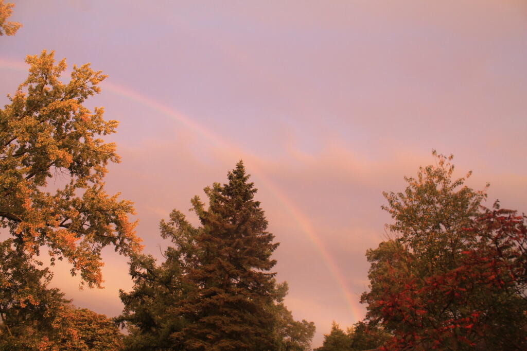 Photo: Produces Rainbows