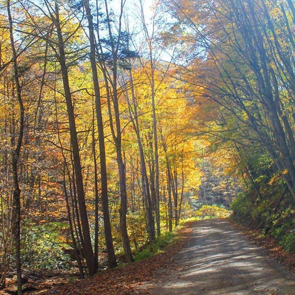 Photo: Route 7 in Gandy, WV