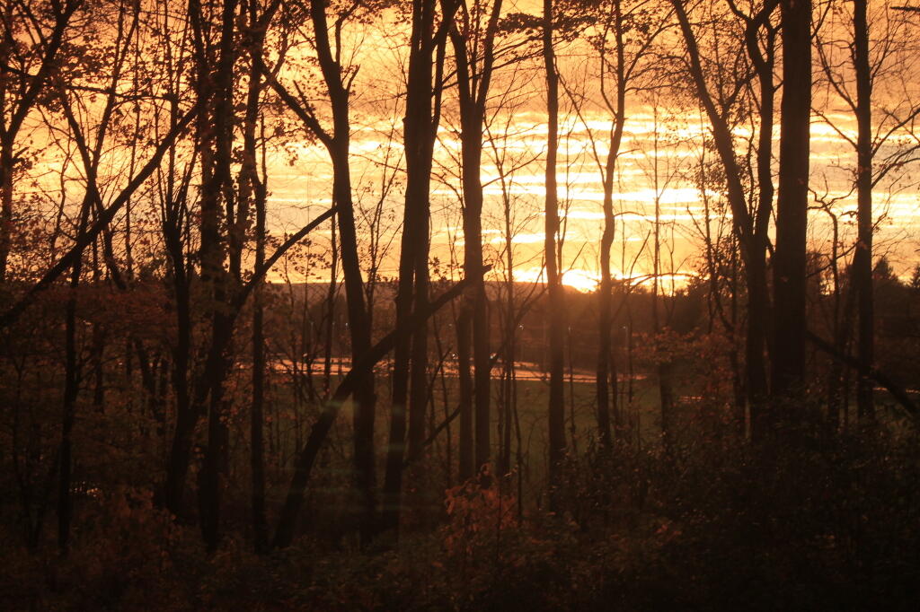 Photo: Into Darkness