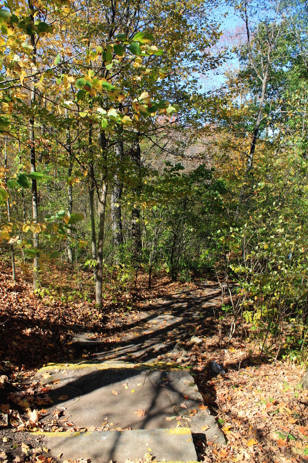 Photo: Heading Down to Falls