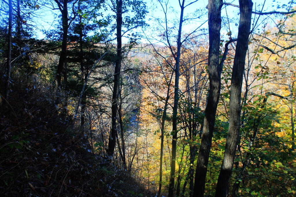 Photo: East Side of Gorge