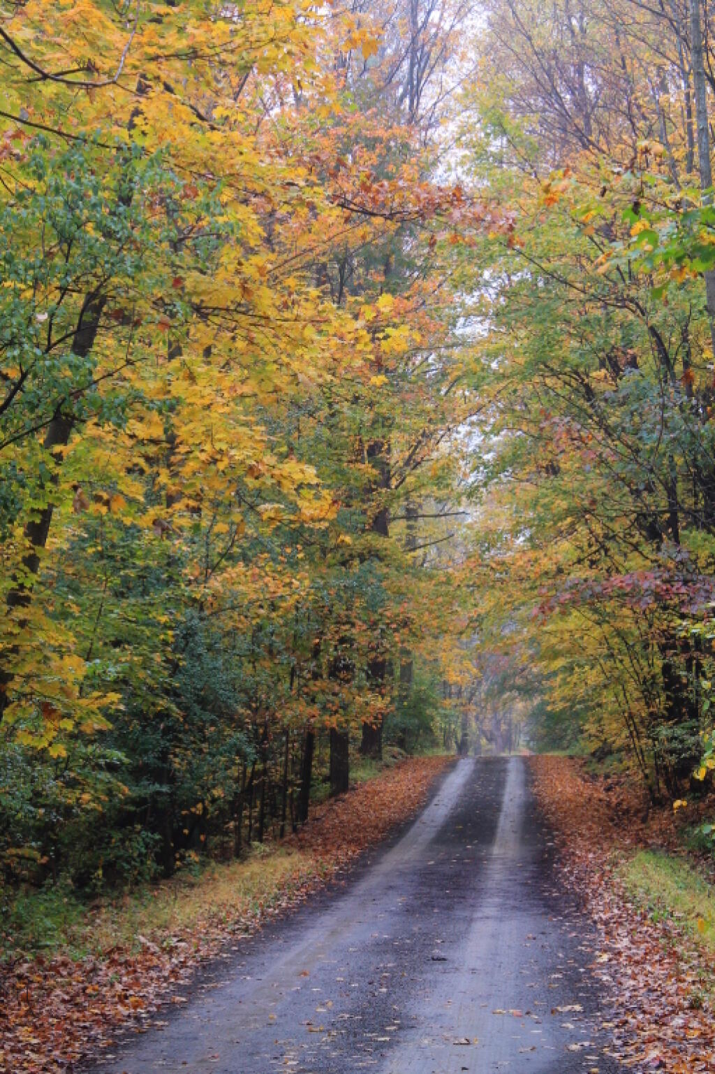 Photo: Texas Hollow Road 1