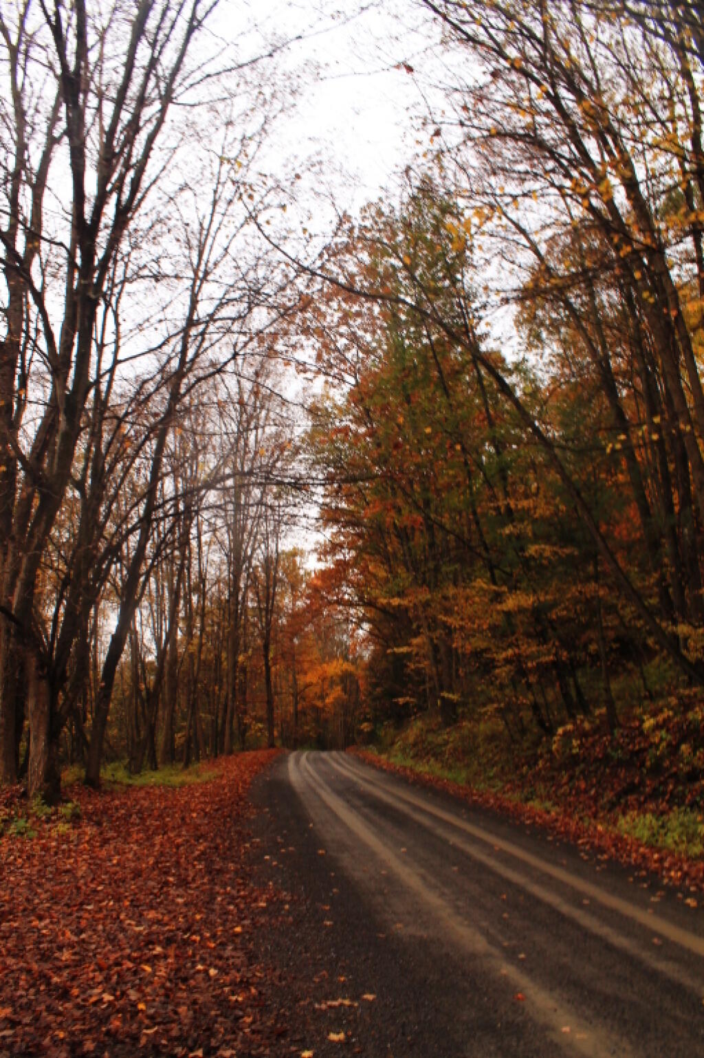 Photo: Texas Hollow 2