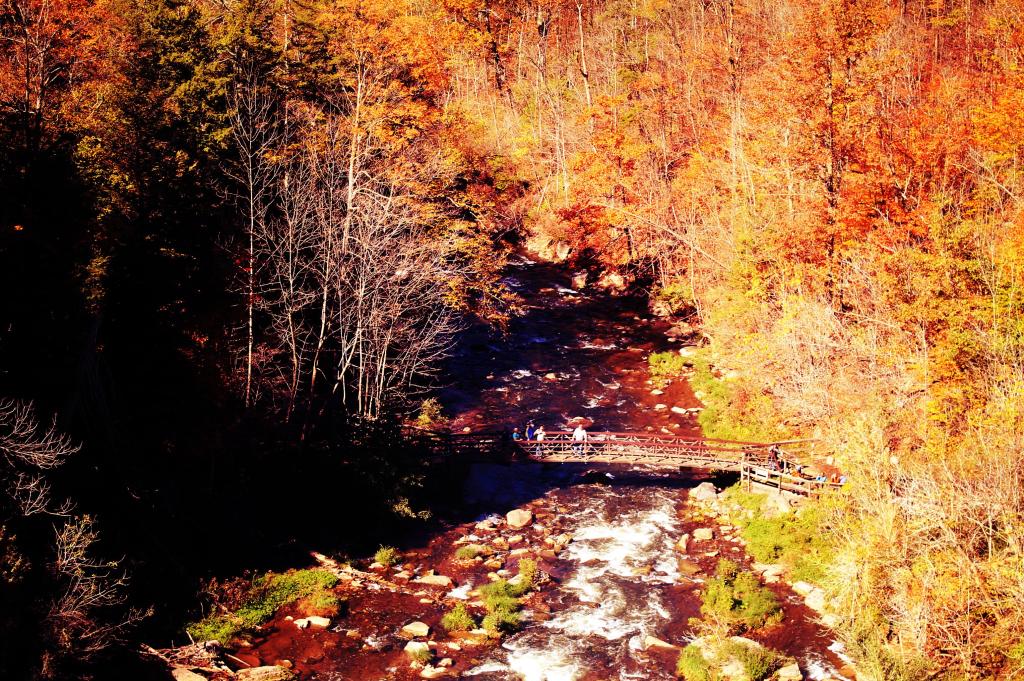 Photo: Bridge Over Chittenango River