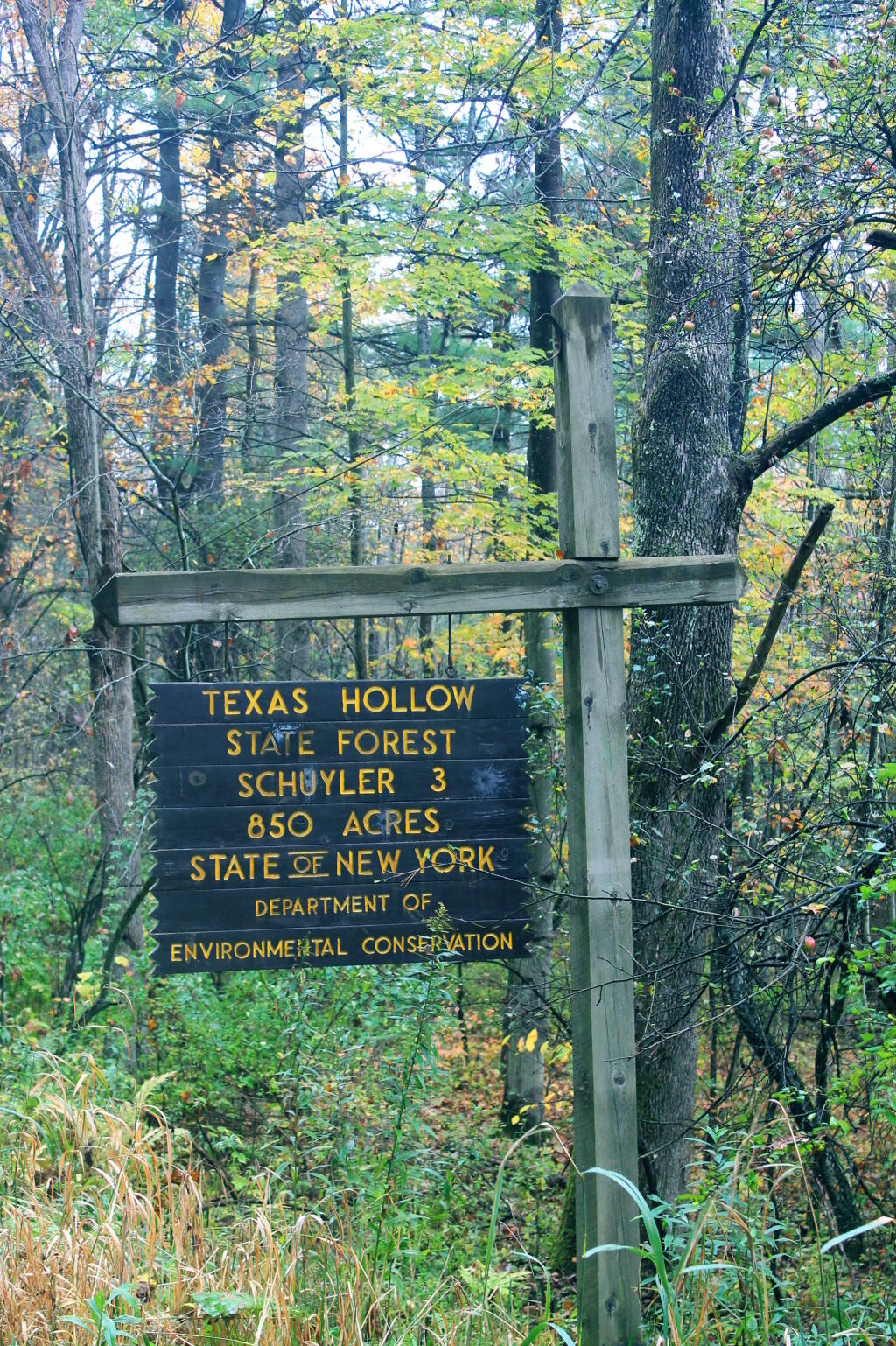 Photo: Texas Hollow Sign