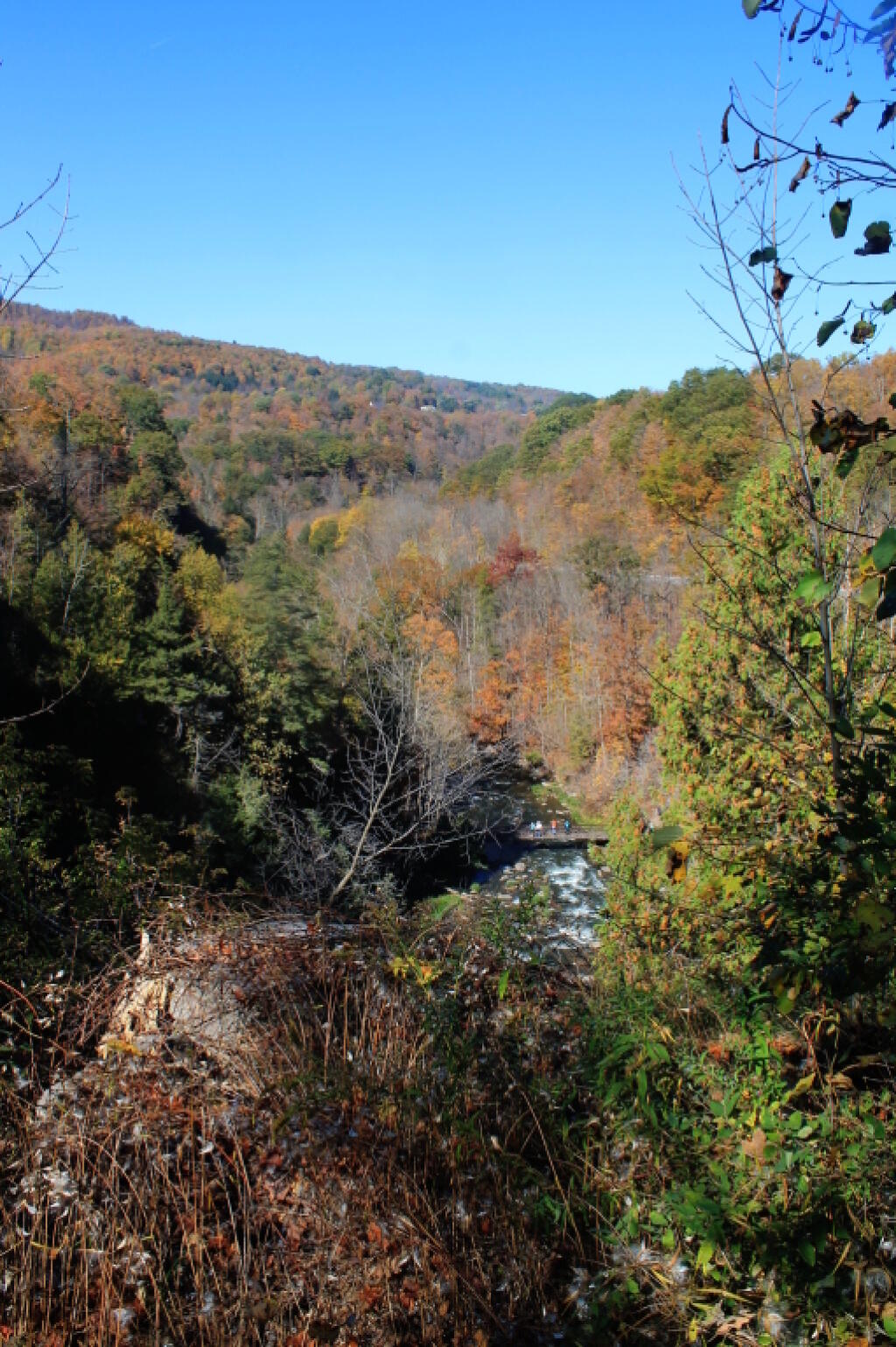 Photo: Down the Gorge
