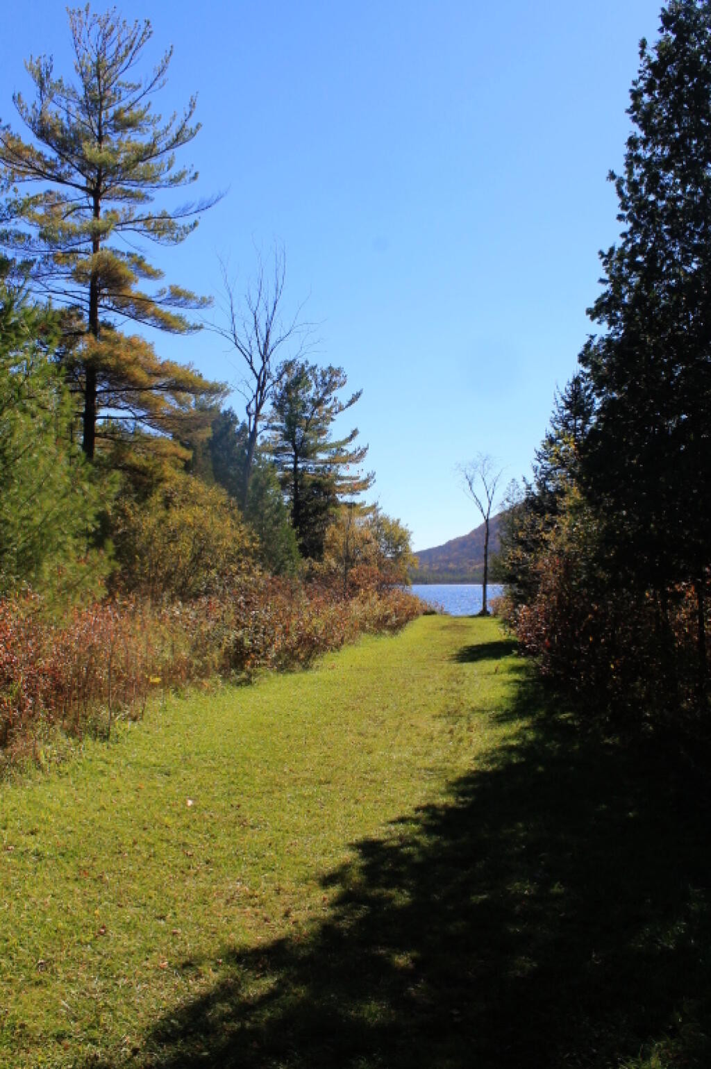 Photo: Down to Labrador Pond