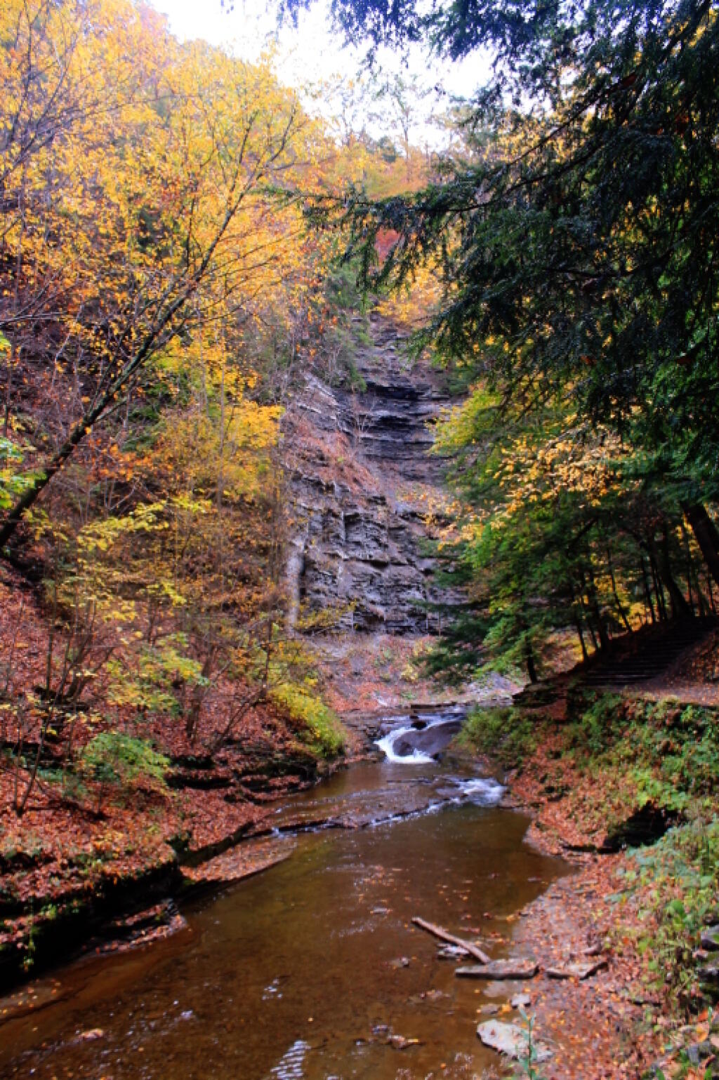 Photo: Along the Gorge