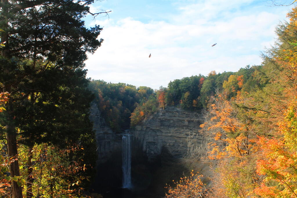 Photo: Overlook View