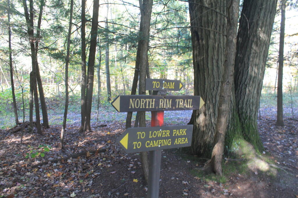 Photo: Into the Gorge
