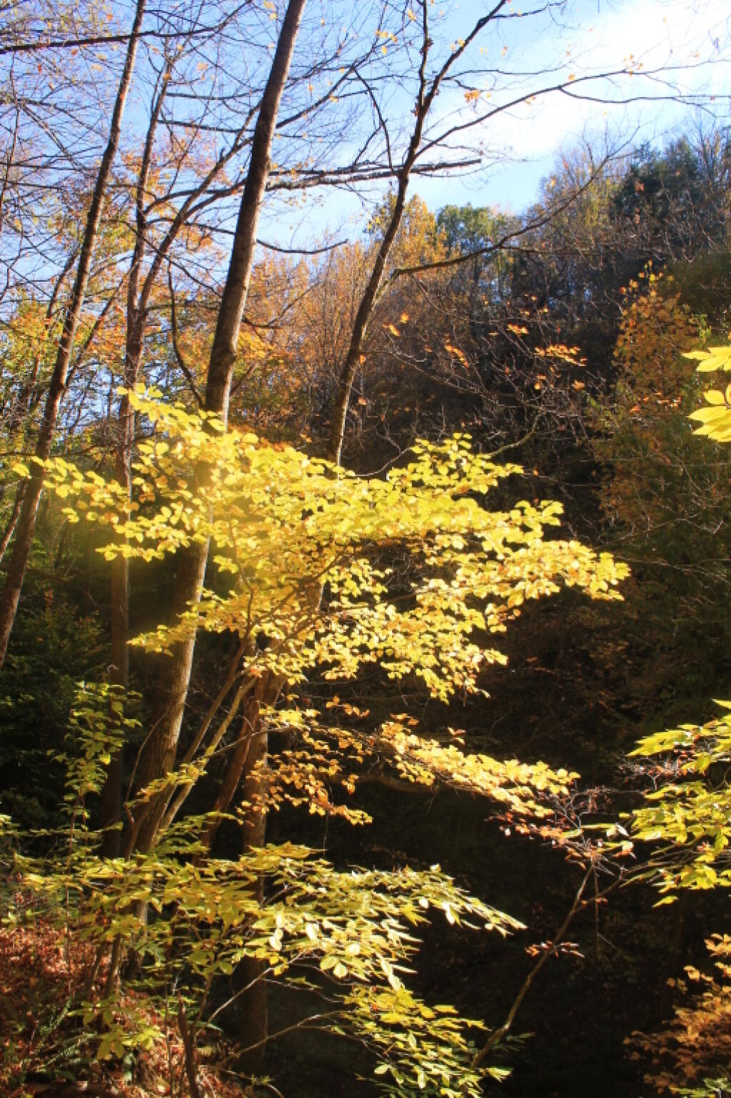 Photo: Along Glen Walls