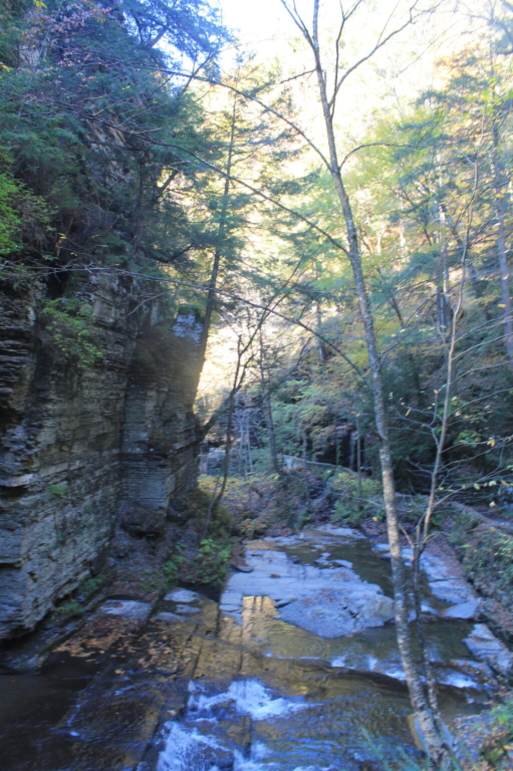 Photo: Inside the Glen Photo: Inside the Glen