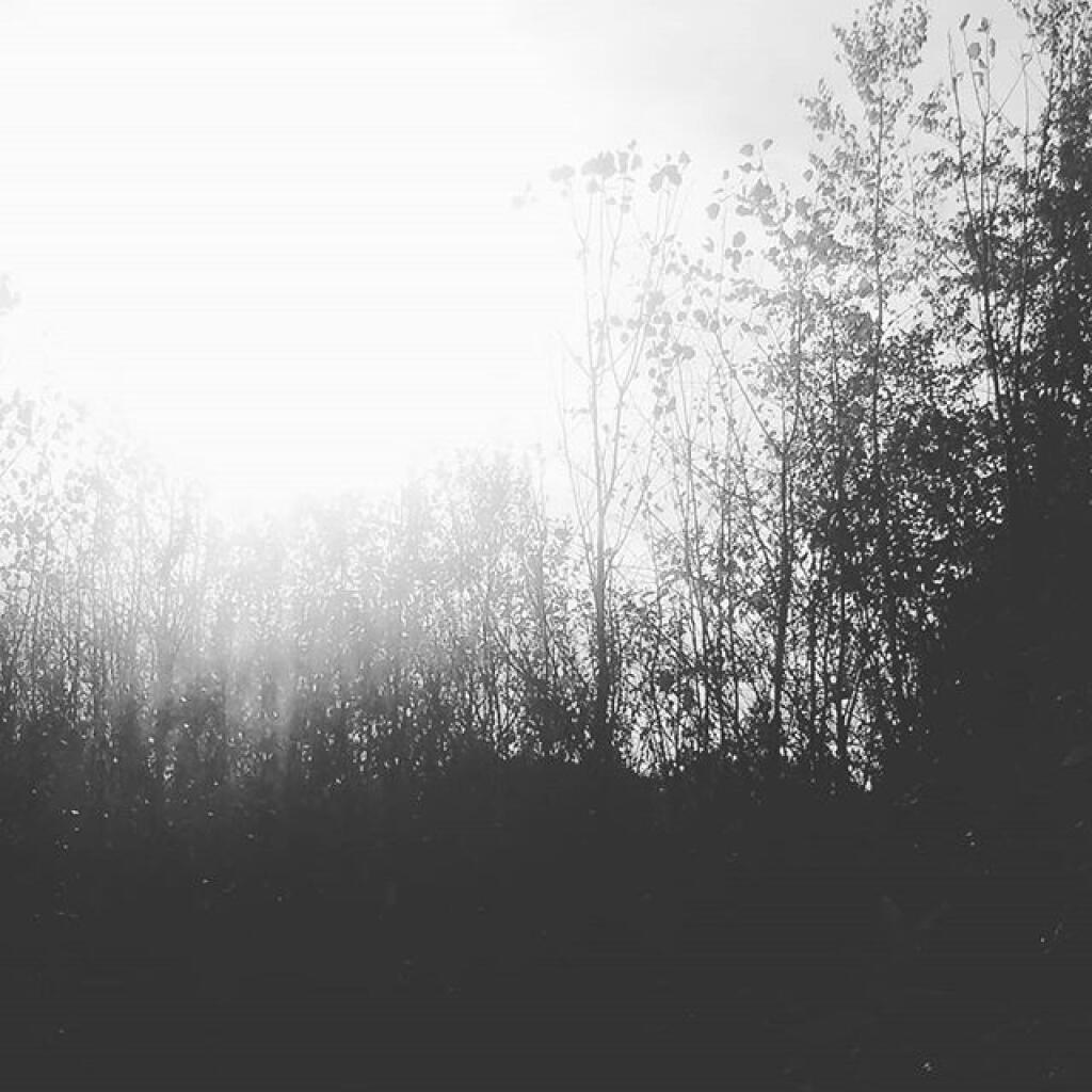 Photo: Fade away