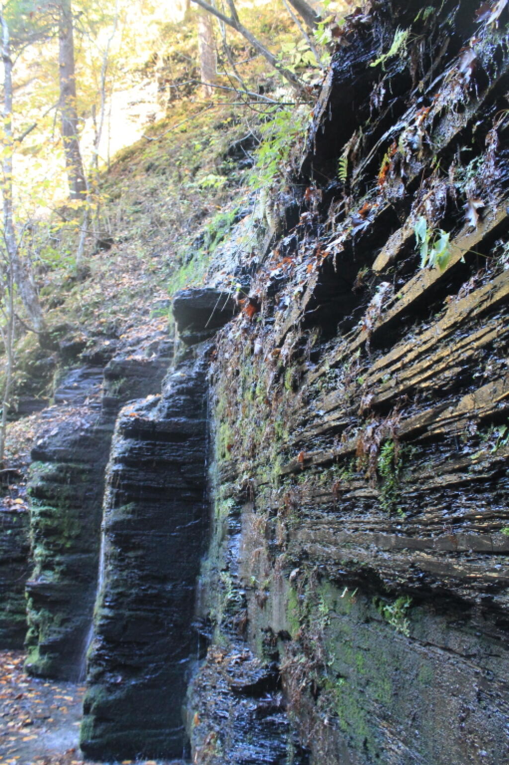 Photo: Waterfall on Side of Canyon