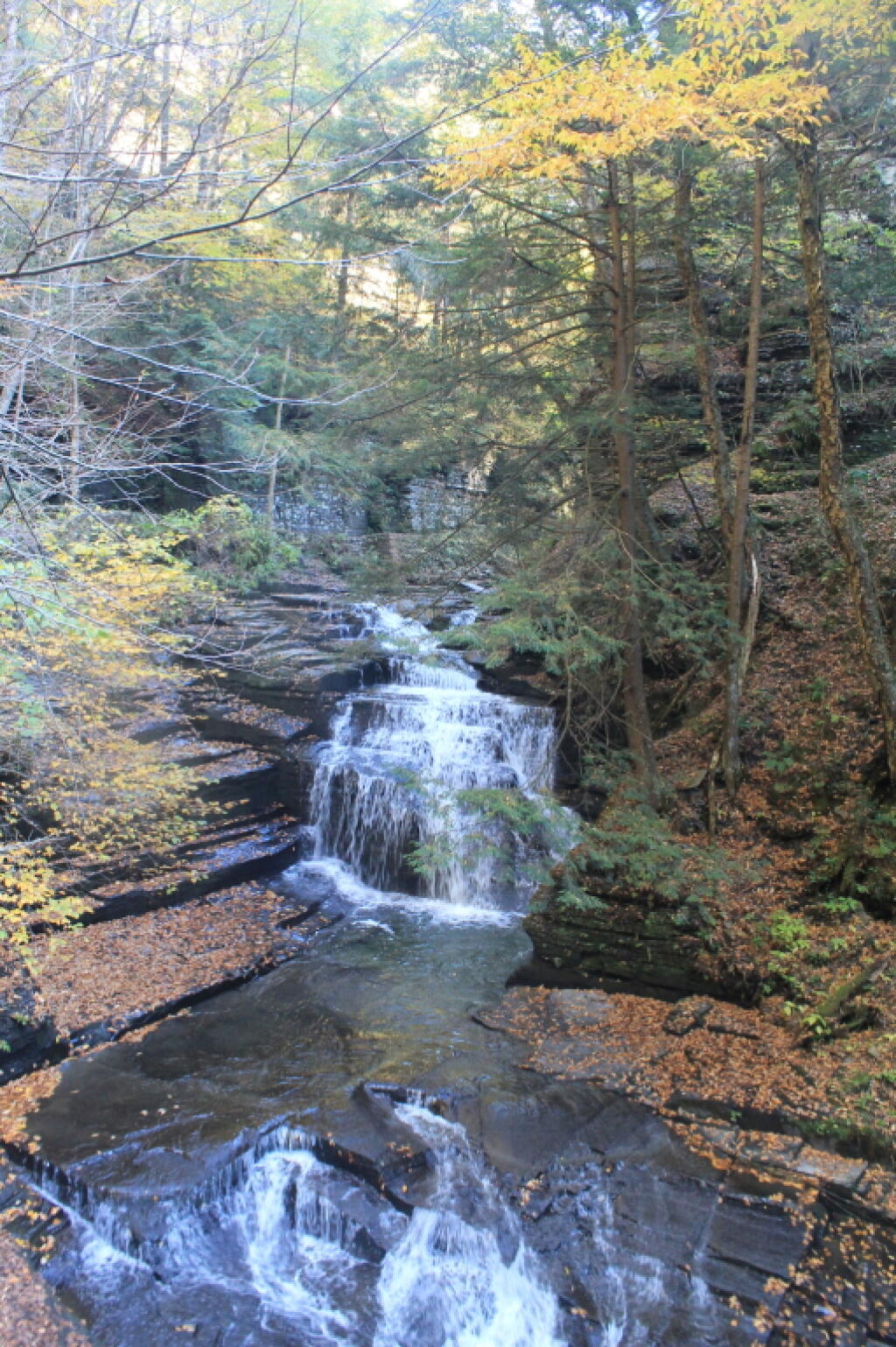 Photo: Small Waterfall in Gorge