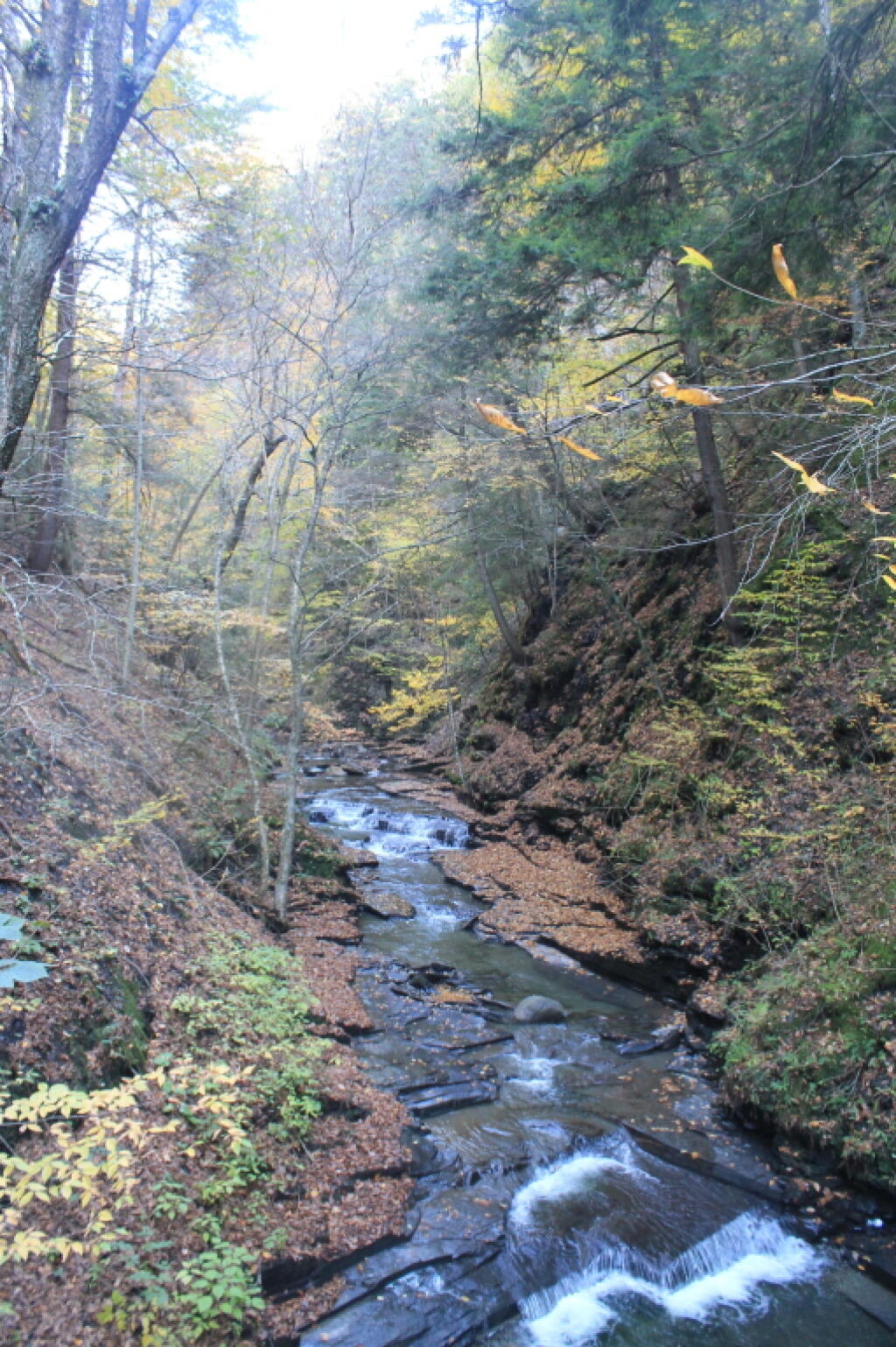 Photo: Photo.2013.10.12 16.24.59