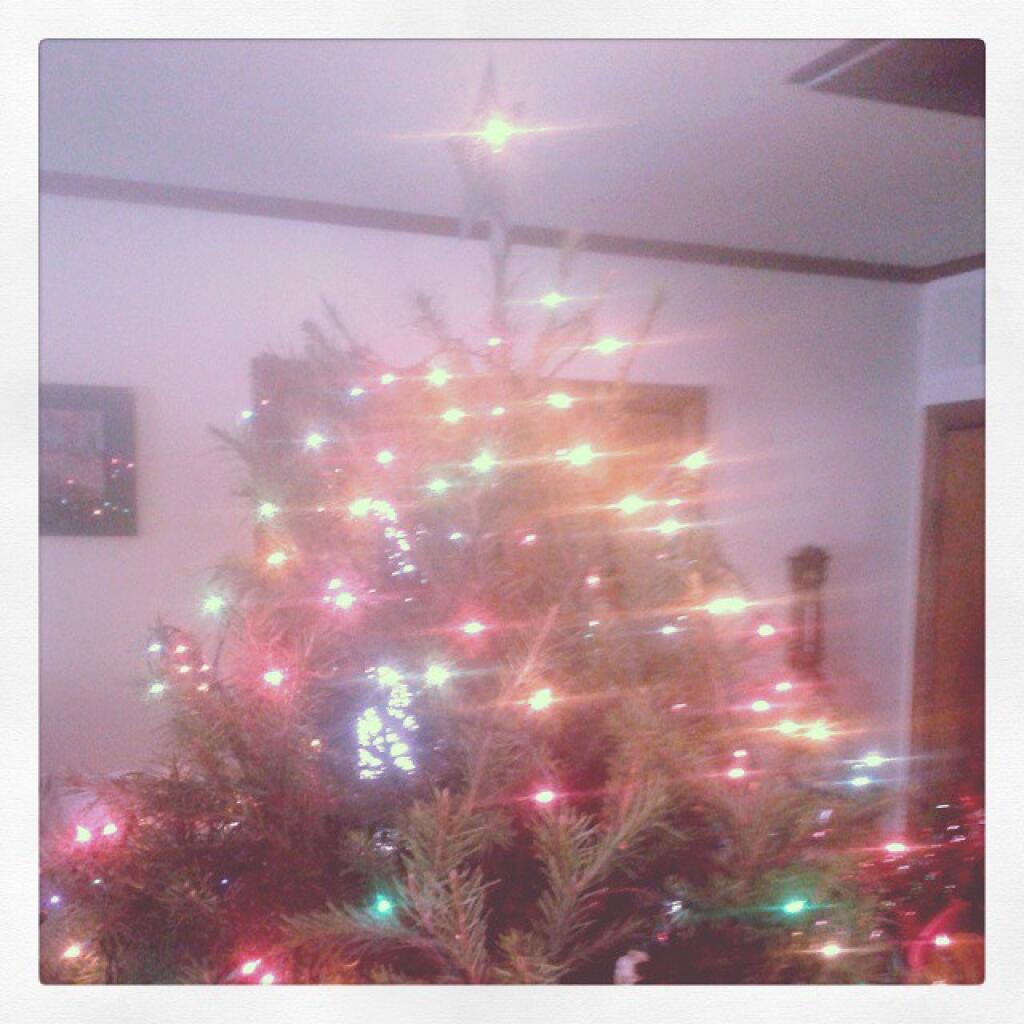 Photo: The Tree