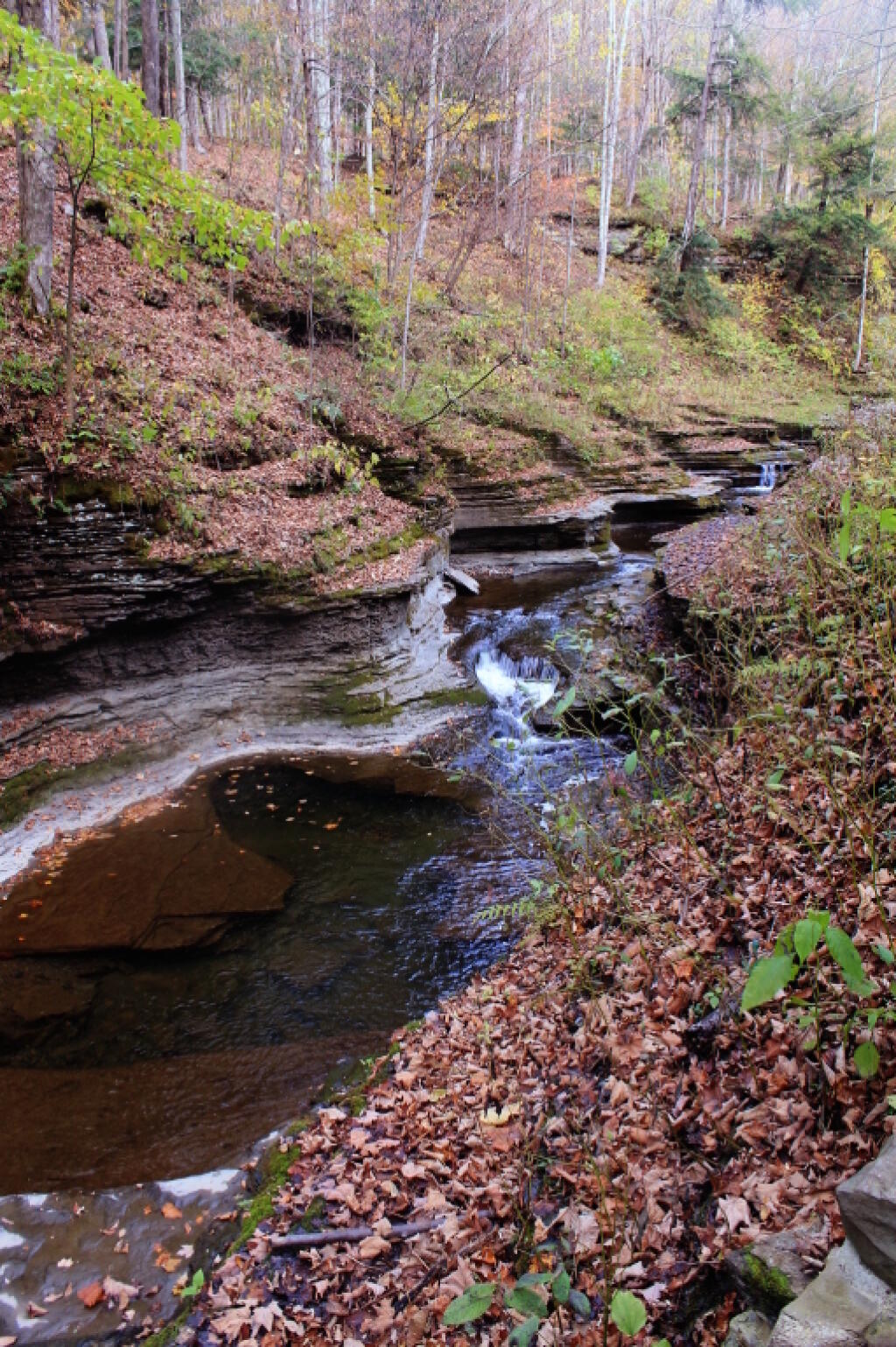 Photo: Mini Gorge