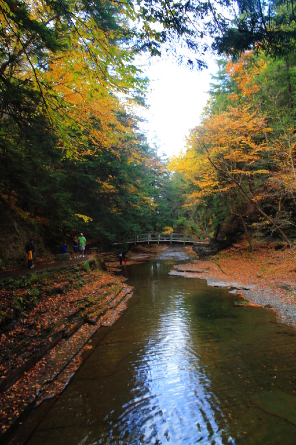 Photo: Bridge