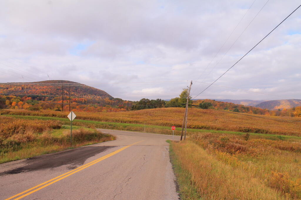Photo: Pressler Road