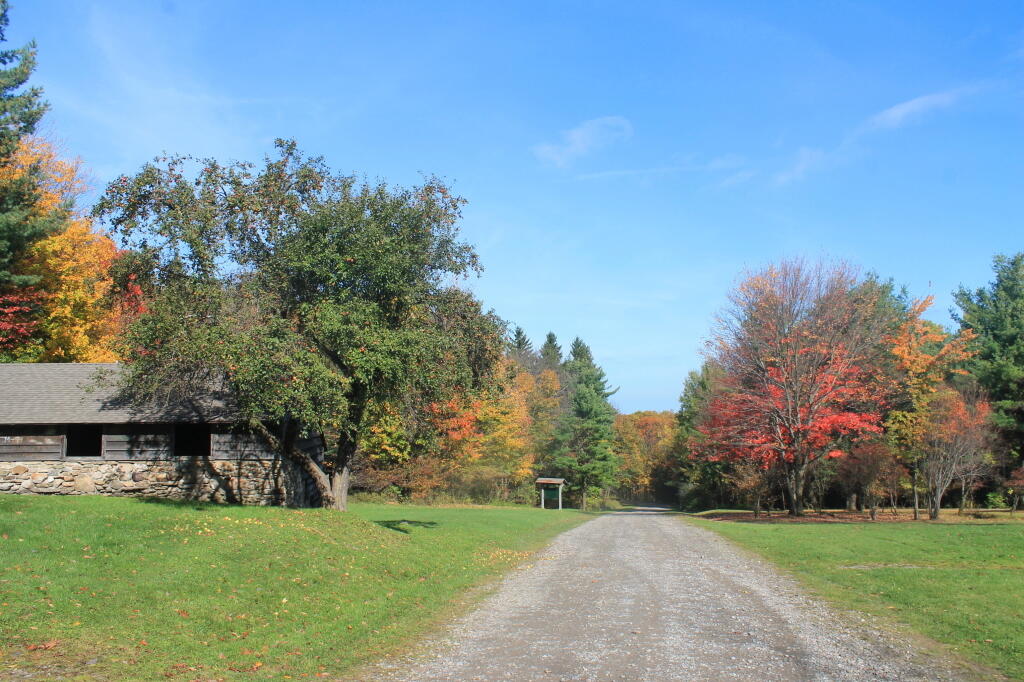 Photo: Picnic Area