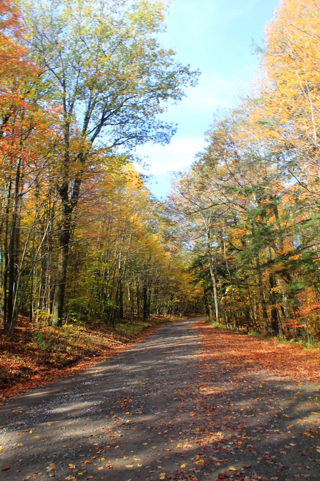 Photo: Park Road