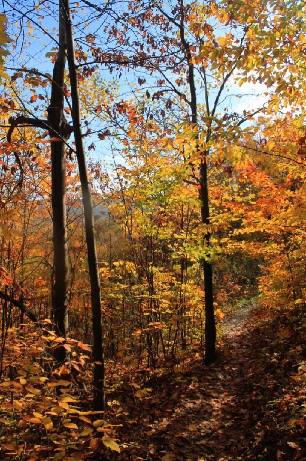 Photo: Peak Color, No Crowds