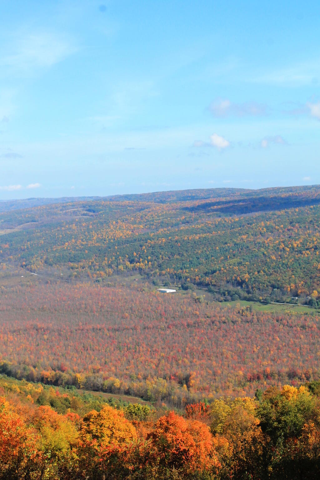 Photo: Honeoye Inlet