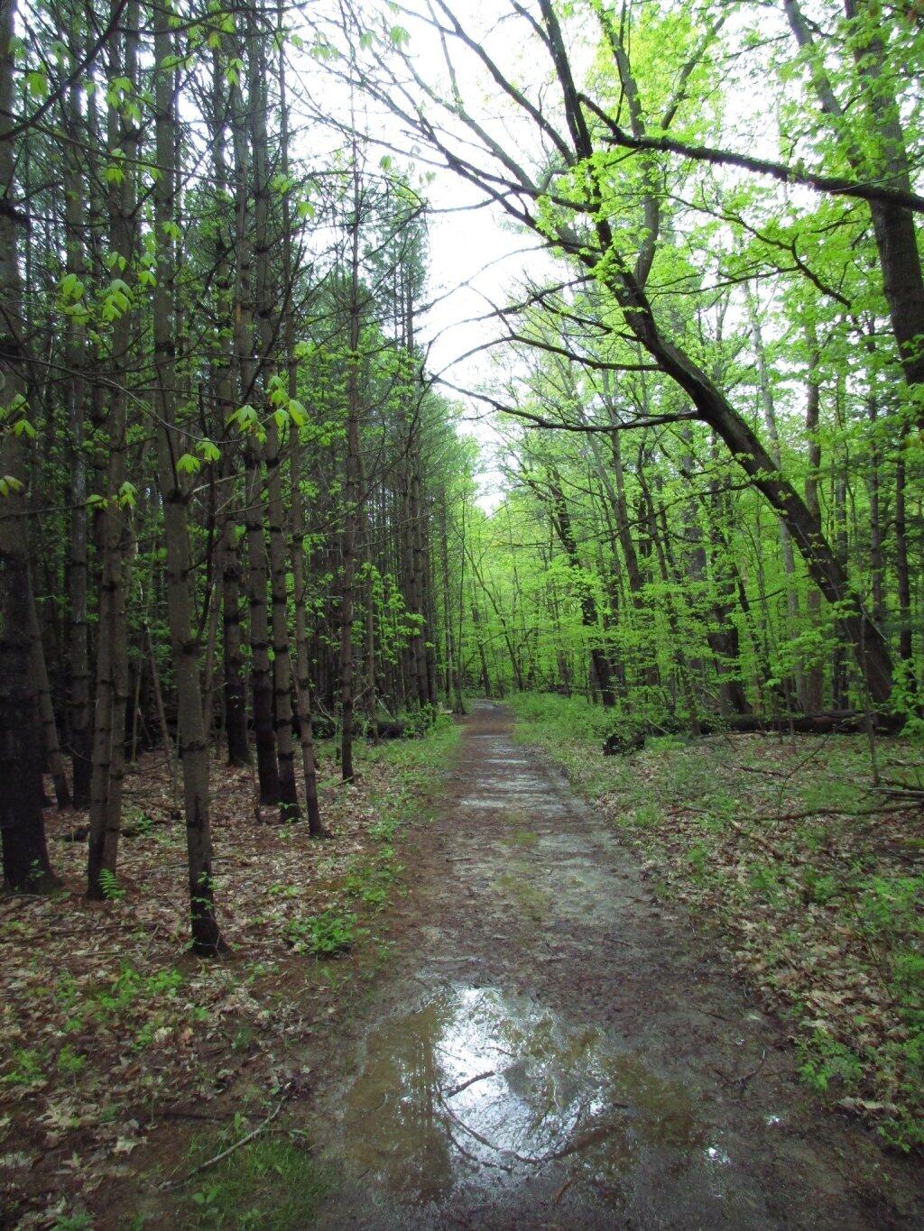 Photo: Soggy