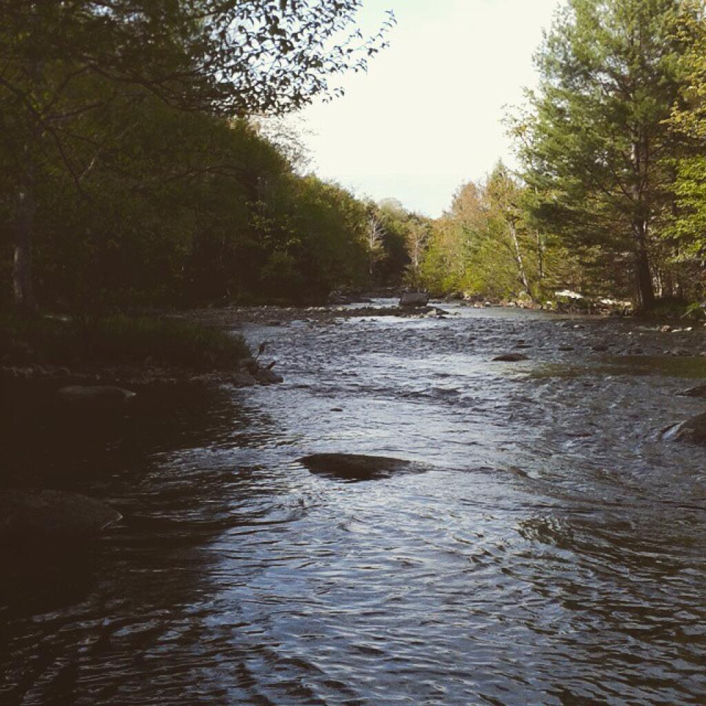 Photo: Black River