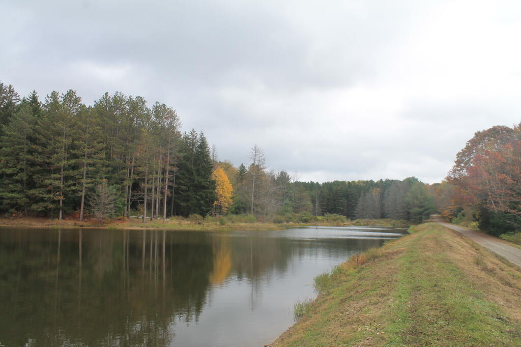 Photo: Ossian Pond