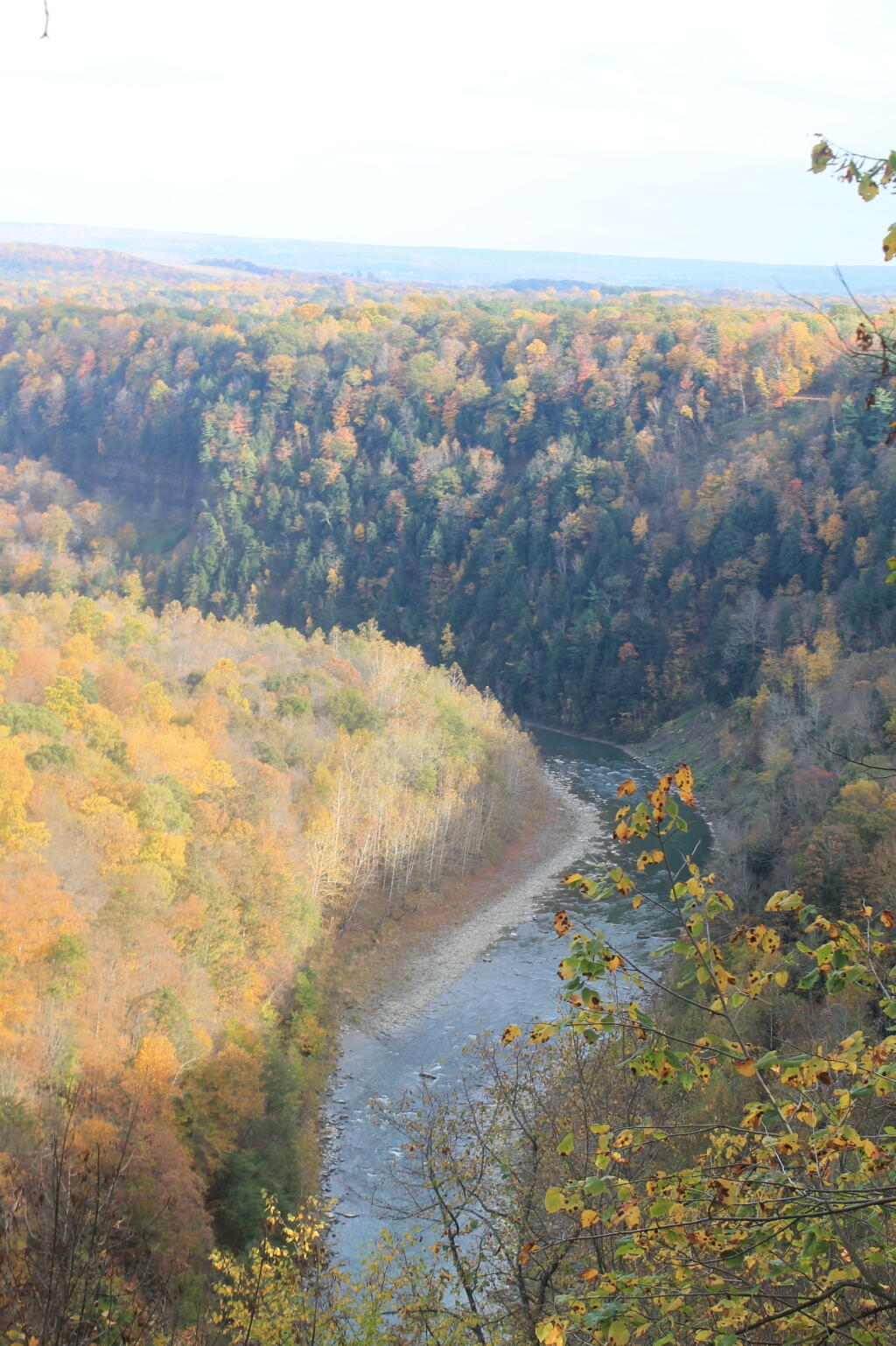 Photo: Looking down into the gorge at Letchworth State Park Photo: Looking down into the gorge at Letchworth State Park