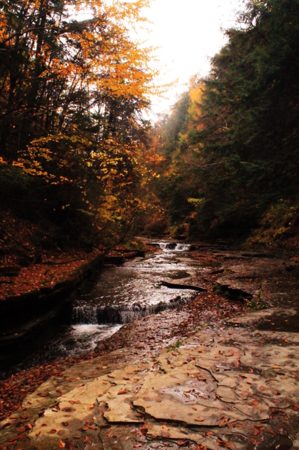 Photo: Creek Flows Gently Past